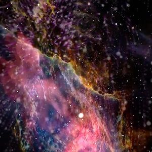 Meet your Posher, Chloe